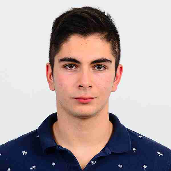 Deyan S  Instructor Long Grove, IL